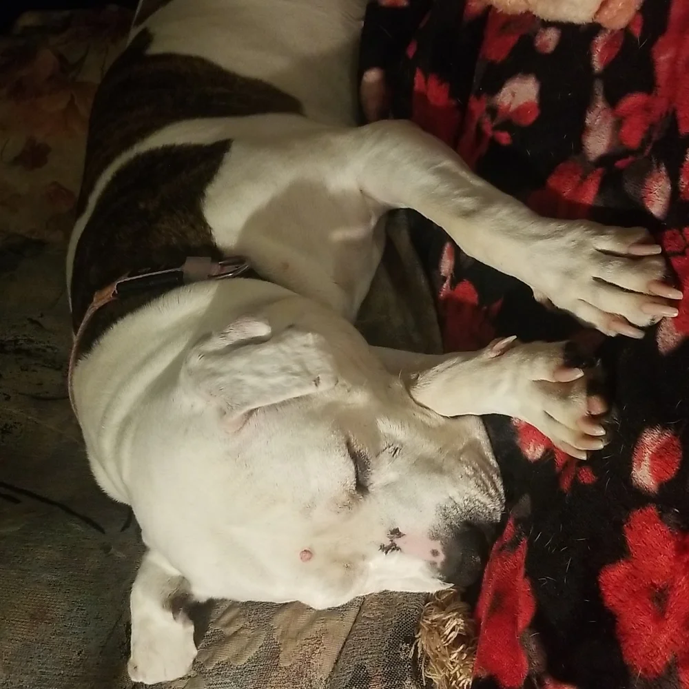 🛍 bundle Sale 👱‍♀️ - Picture 14 of 16